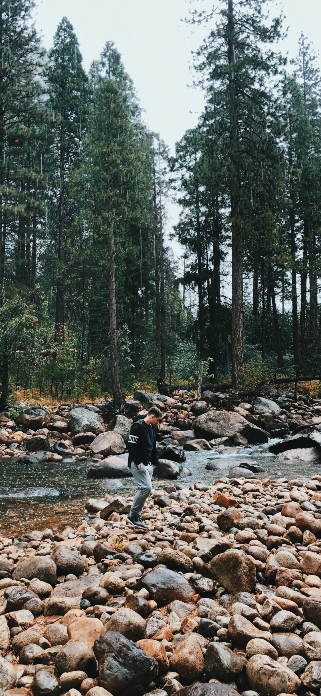 Обои дикая местность, вода, русло ручья, биом, старовозрастные леса в разрешении 1125x2436