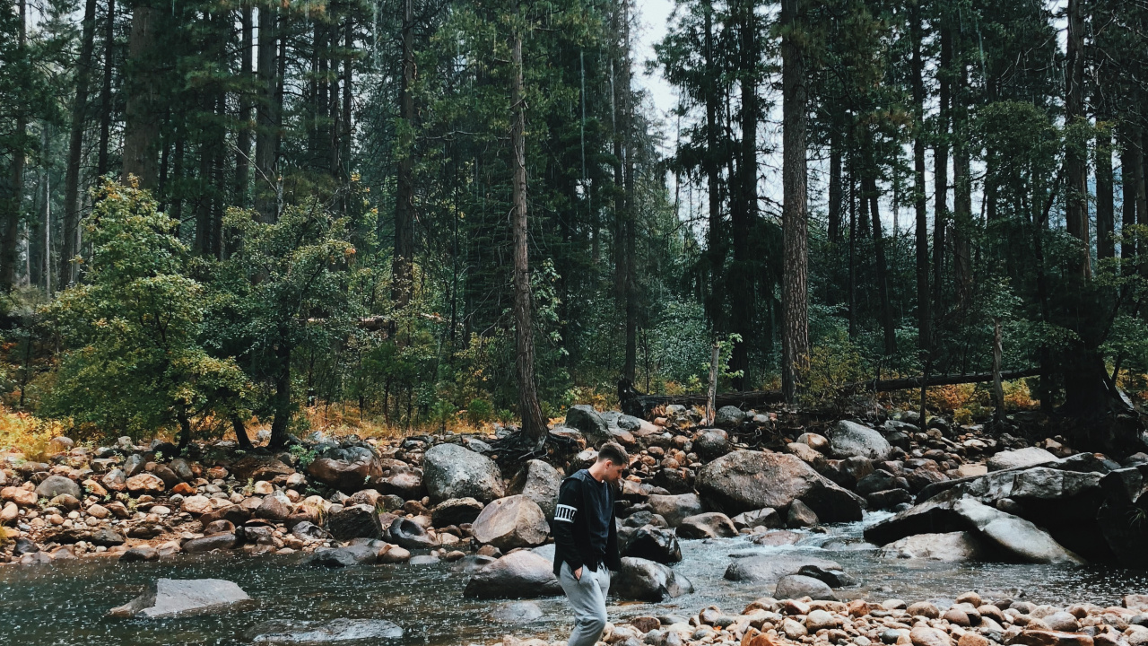 Обои дикая местность, вода, русло ручья, биом, старовозрастные леса в разрешении 1280x720