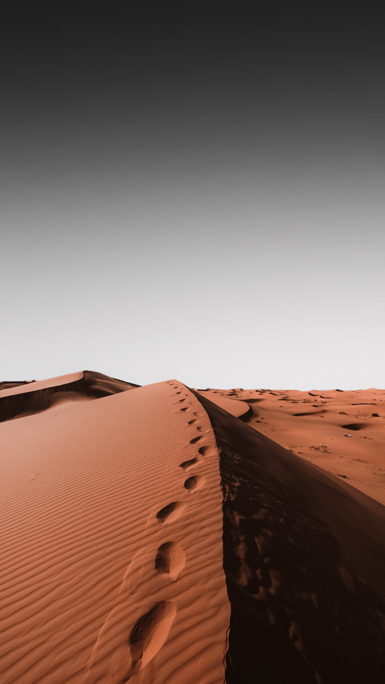 Обои арт, графика, коричневый цвет, древесина, горизонт в разрешении 750x1334