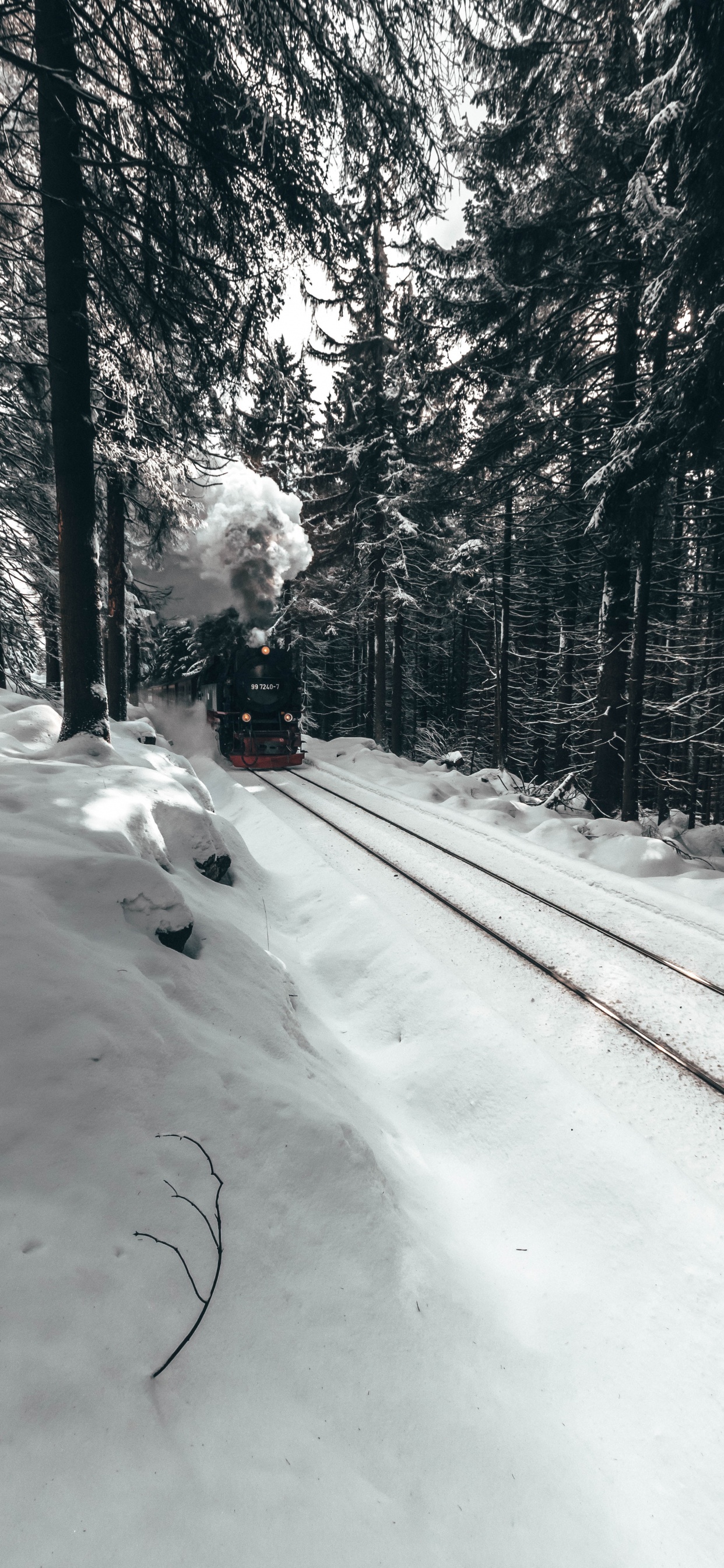 Обои поезд, зима, снег, белые, дерево в разрешении 1242x2688