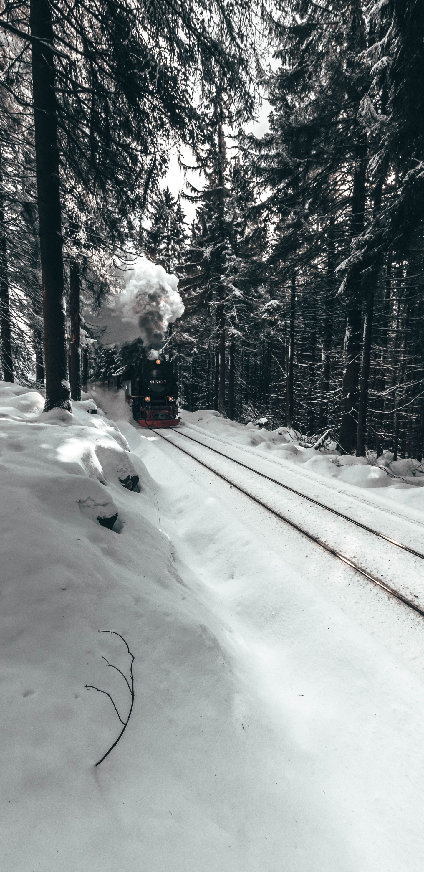 Обои поезд, зима, снег, белые, дерево в разрешении 1440x2960