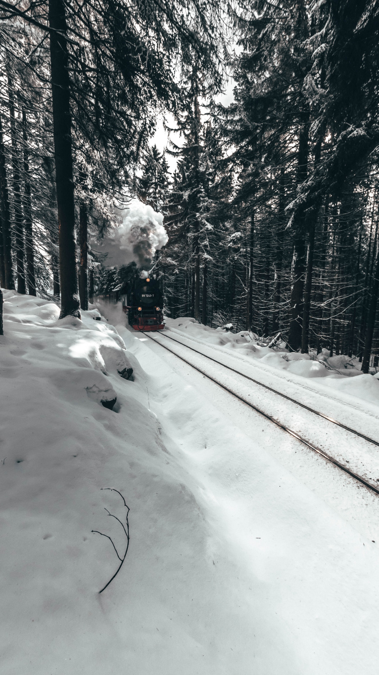Обои поезд, зима, снег, белые, дерево в разрешении 750x1334