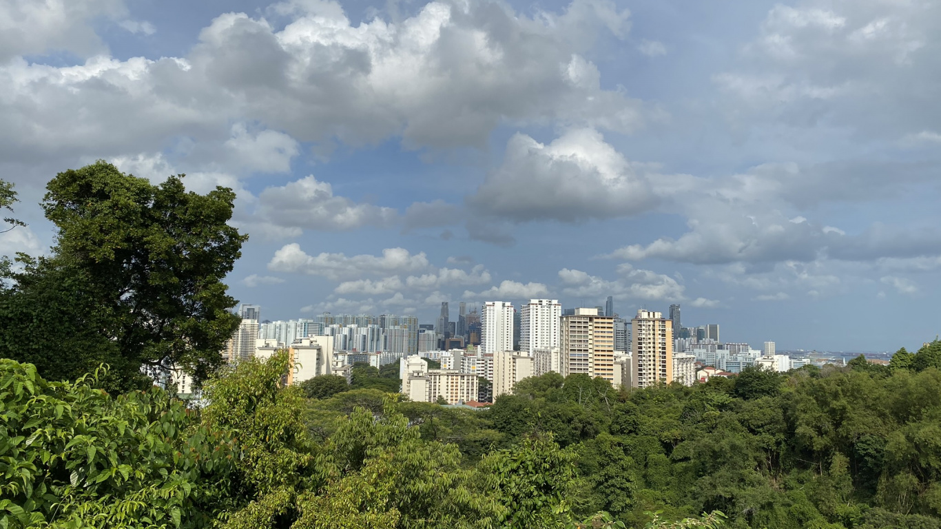 Обои растительность, дневное время, свойство, облако, соседство в разрешении 1366x768