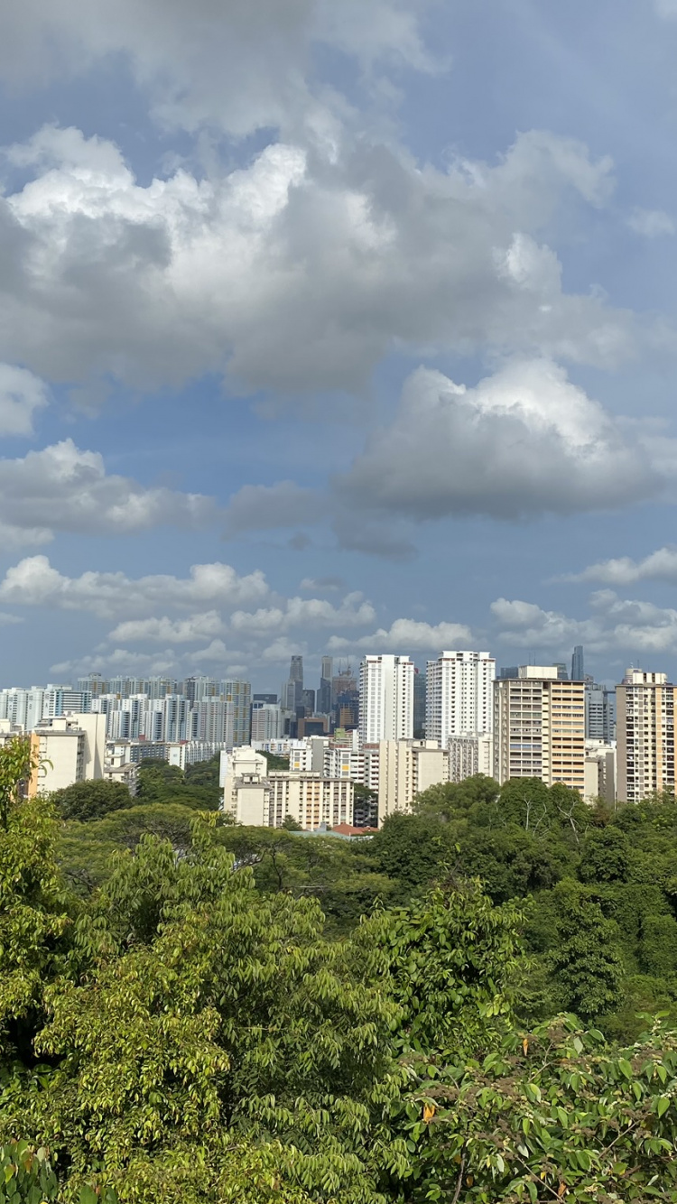 Обои растительность, дневное время, свойство, облако, соседство в разрешении 750x1334