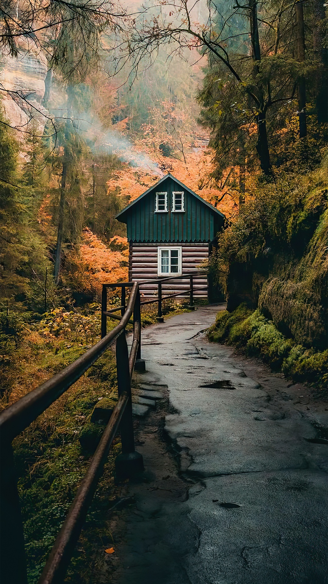 Обои дерево, Тикток, ios, живопись, бумага в разрешении 1080x1920