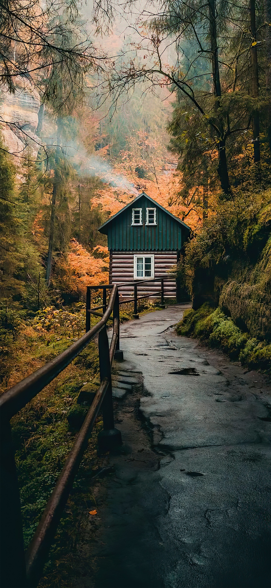 Обои дерево, Тикток, ios, живопись, бумага в разрешении 1125x2436