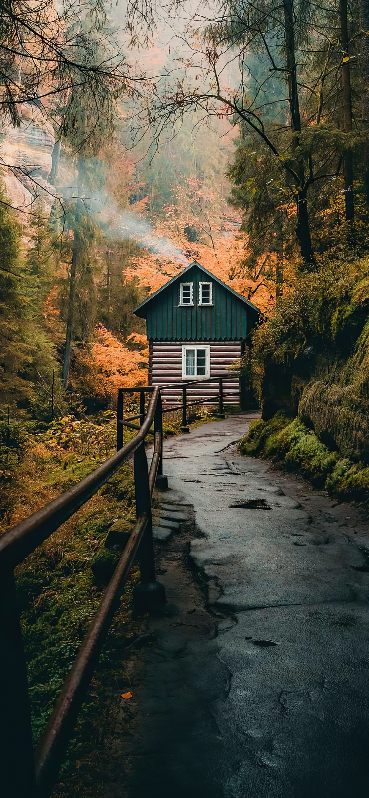 Обои дерево, Тикток, ios, живопись, бумага в разрешении 1242x2688