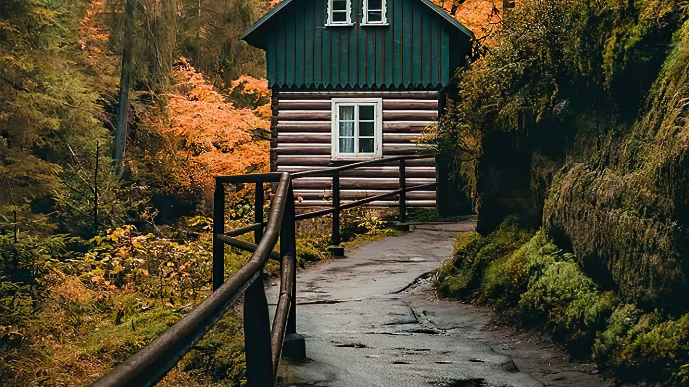 Обои дерево, Тикток, ios, живопись, бумага в разрешении 1366x768