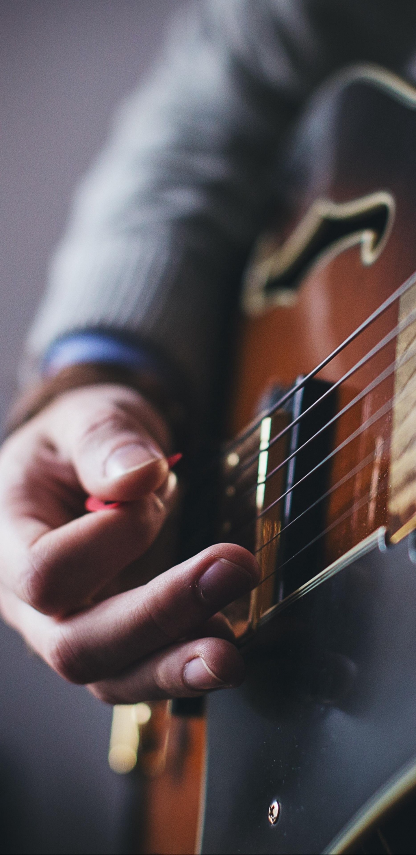 Обои гитара, акустическая гитара, электрогитара, басгитара, гитарист в разрешении 1440x2960