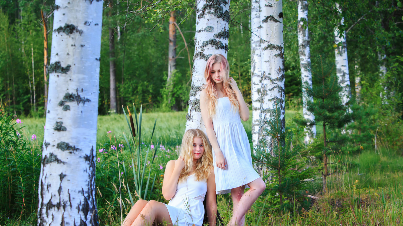 Обои дерево, лес, лесистая местность, растение, завод в разрешении 1366x768