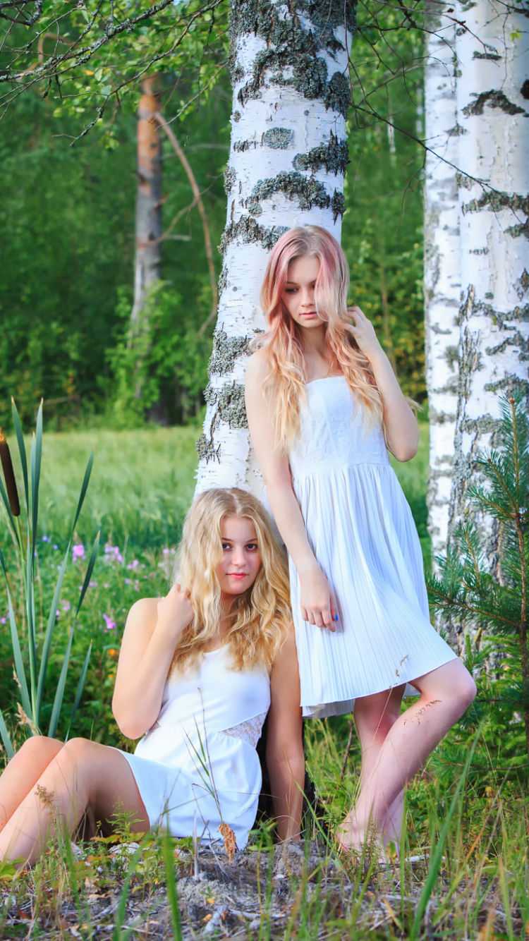 Обои дерево, лес, лесистая местность, растение, завод в разрешении 750x1334