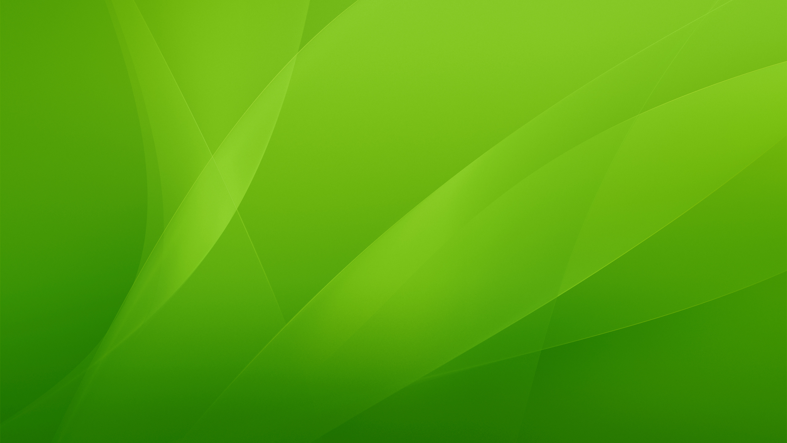 Обои зеленый, цвет, лист, линия, графика в разрешении 2560x1440