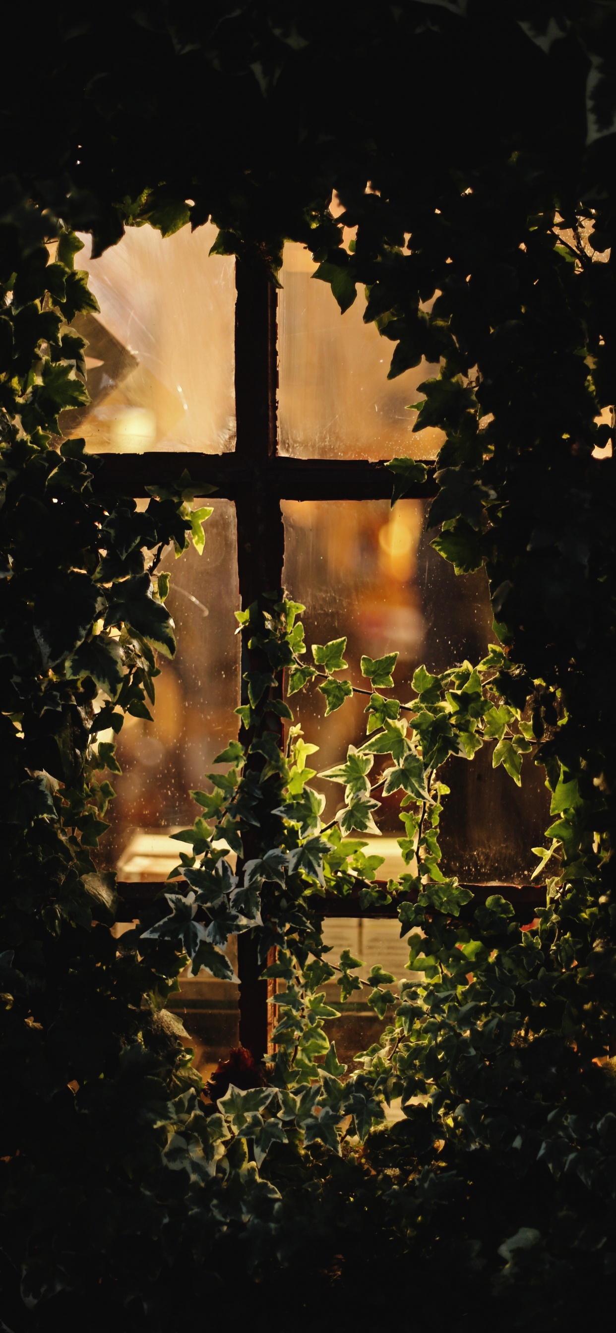 Обои свет, вода, крест, освещение, ночь в разрешении 1242x2688