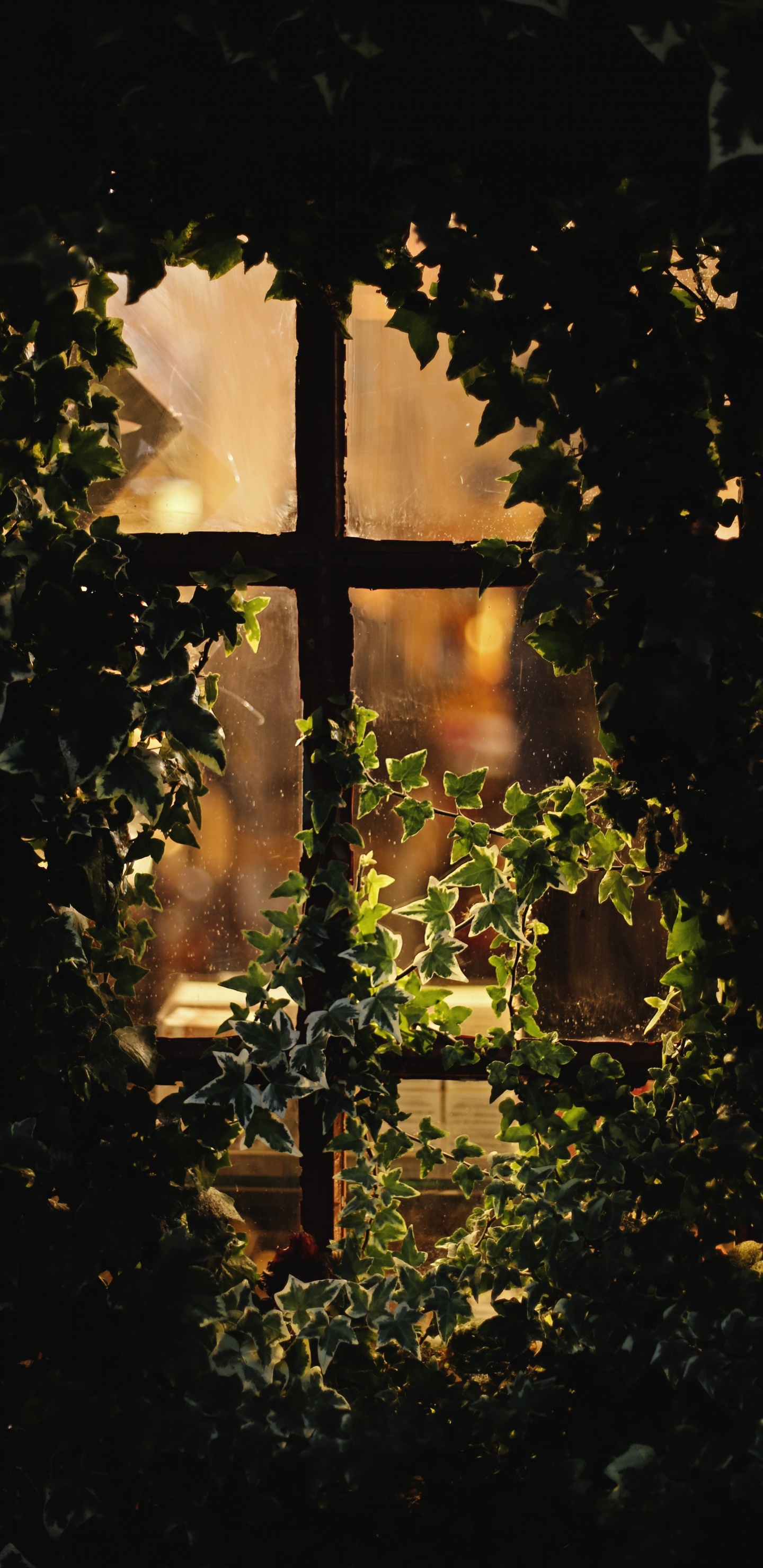 Обои свет, вода, крест, освещение, ночь в разрешении 1440x2960