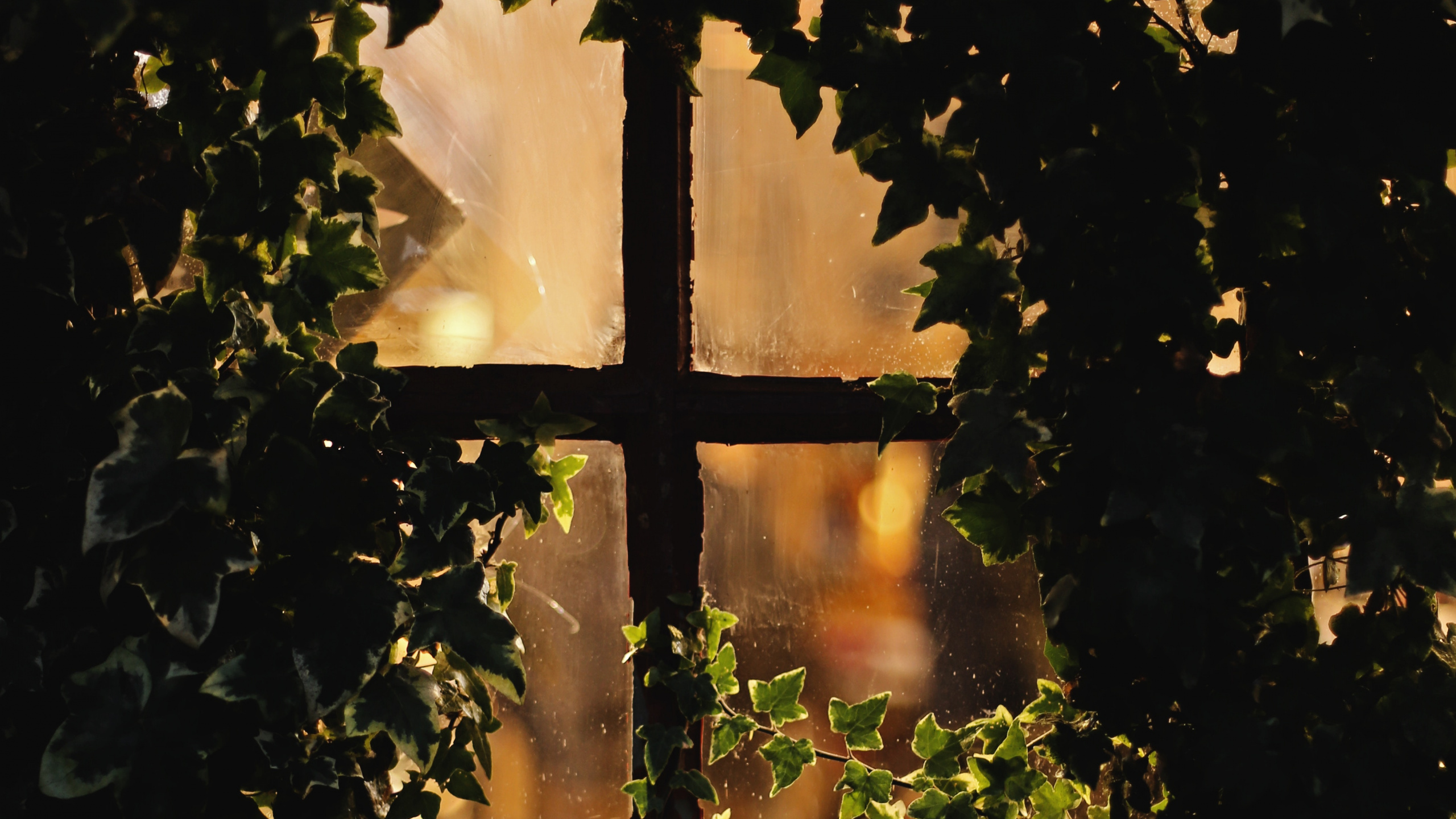 Обои свет, вода, крест, освещение, ночь в разрешении 2560x1440