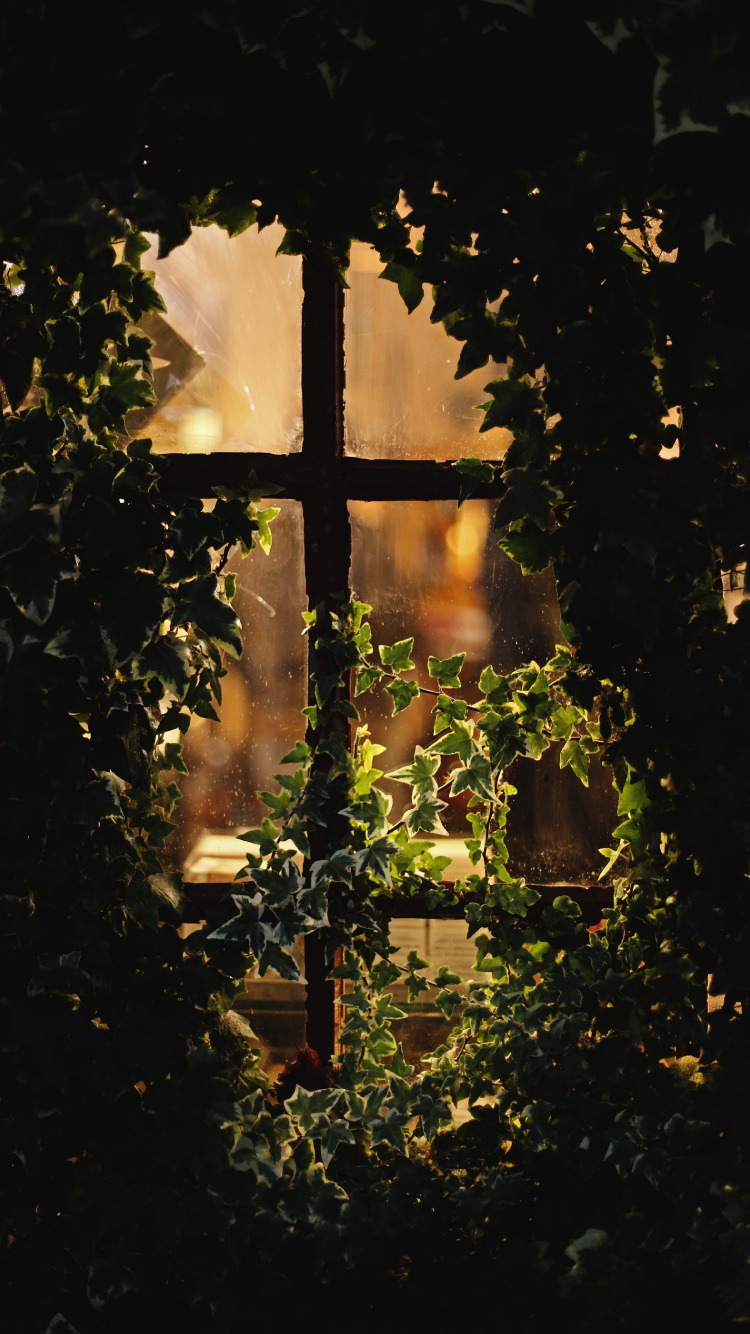 Обои свет, вода, крест, освещение, ночь в разрешении 750x1334