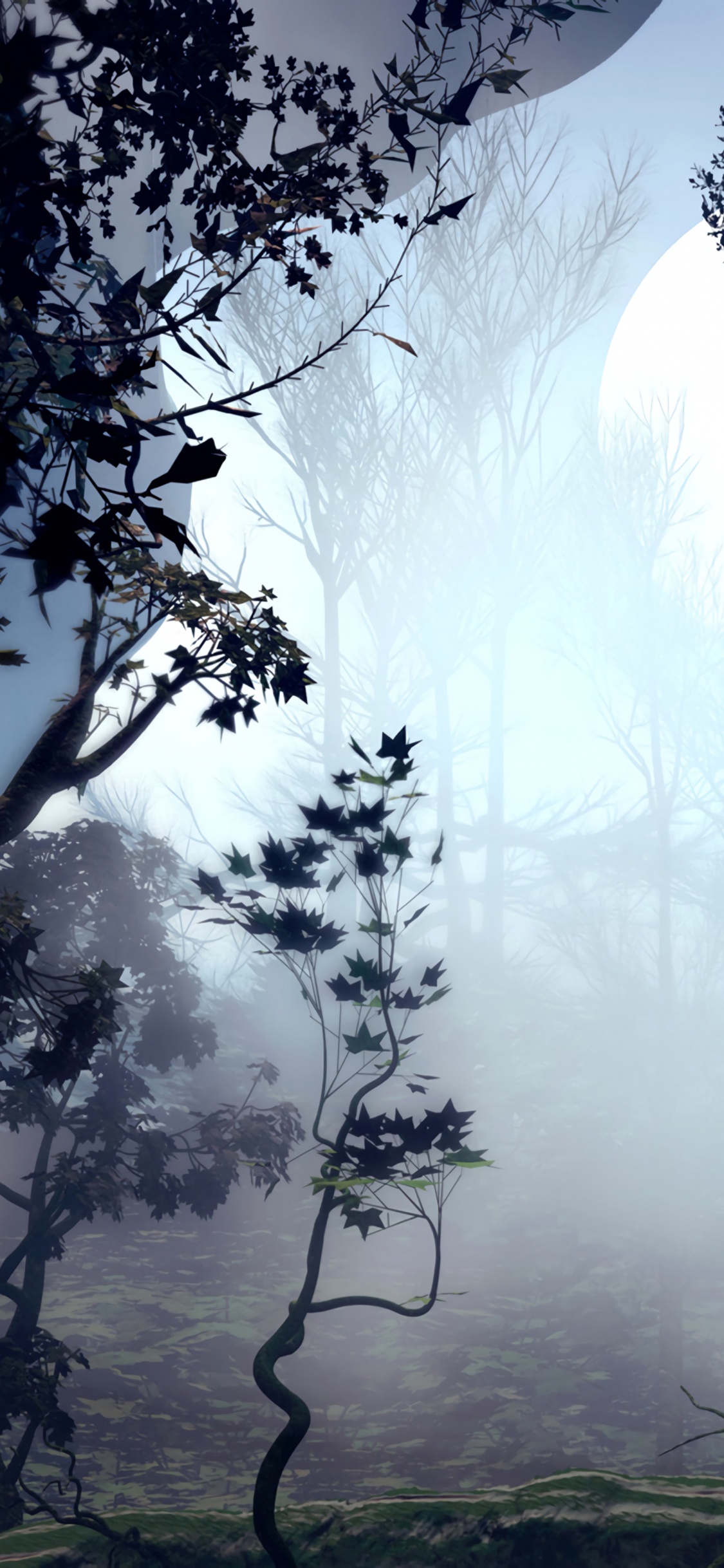 Обои арт, цифровое искусство, природа, дерево, вода в разрешении 1125x2436