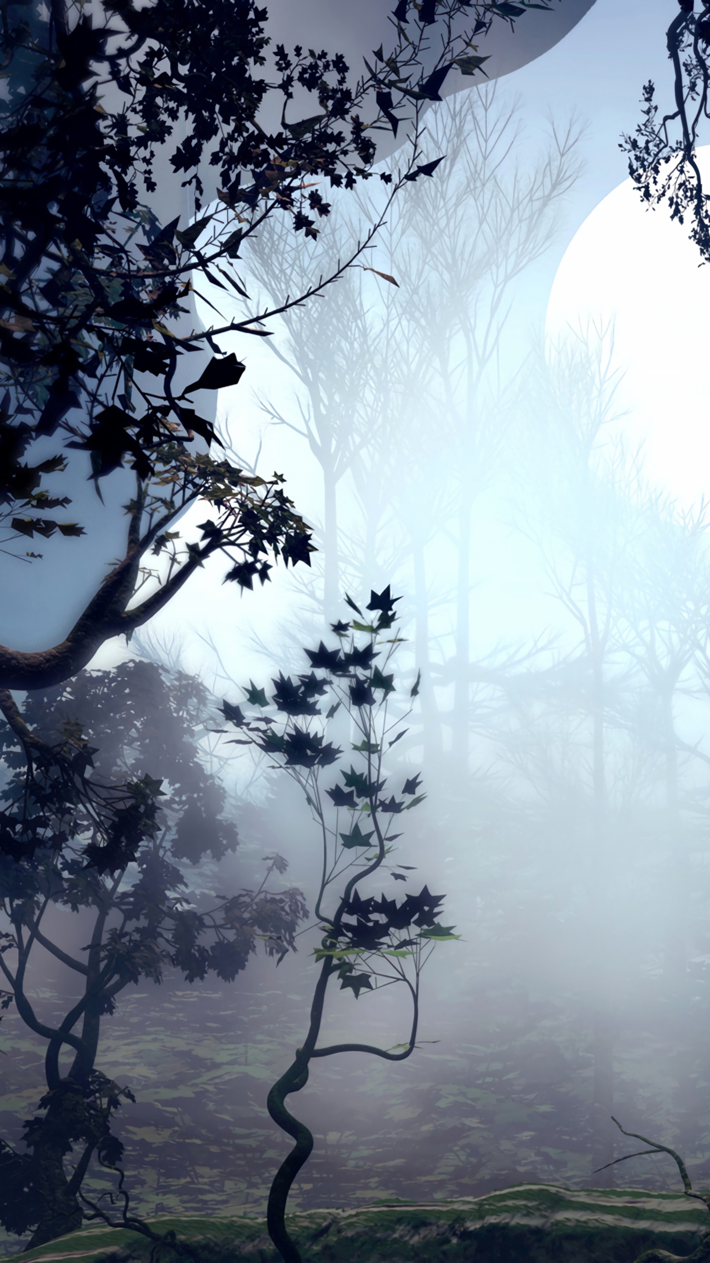 Обои арт, цифровое искусство, природа, дерево, вода в разрешении 1440x2560