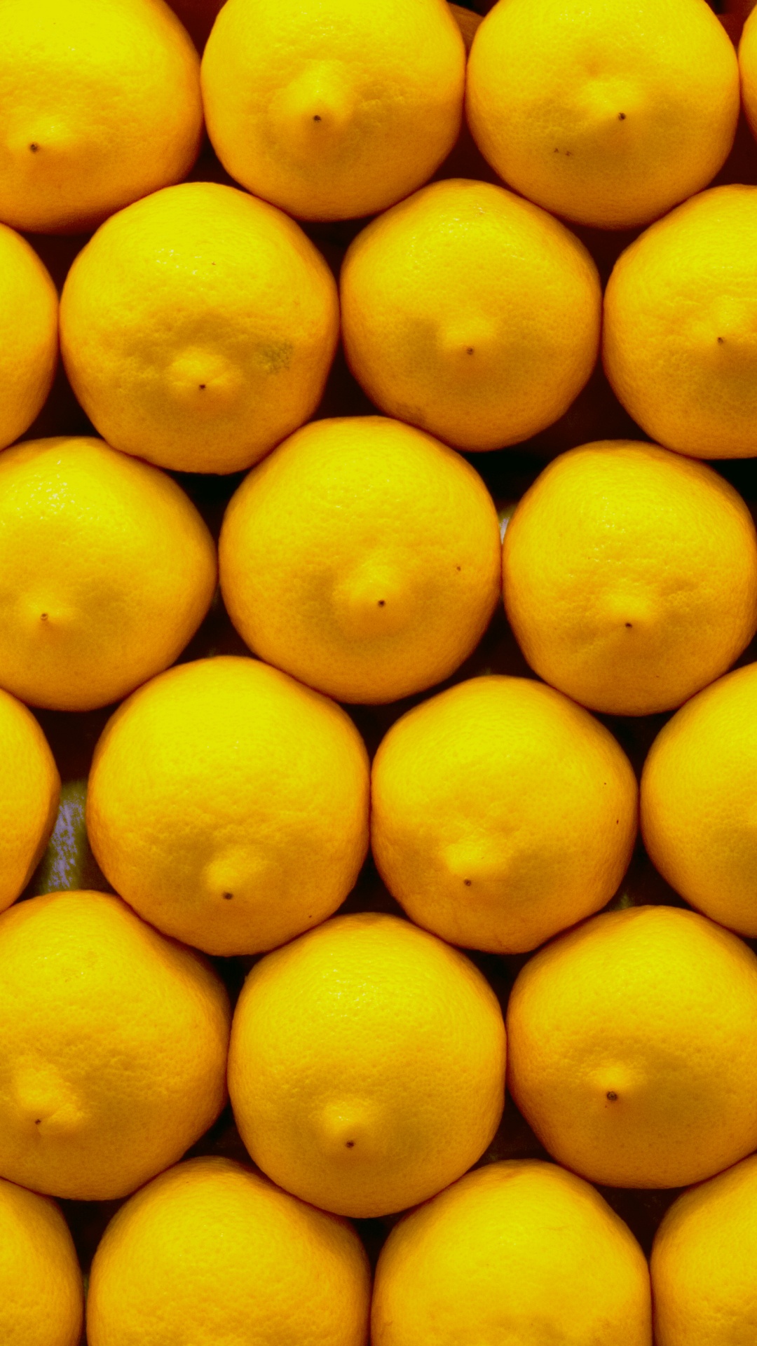 Обои лимон, фрукты, желтый, цитрус, природные продукты в разрешении 1080x1920