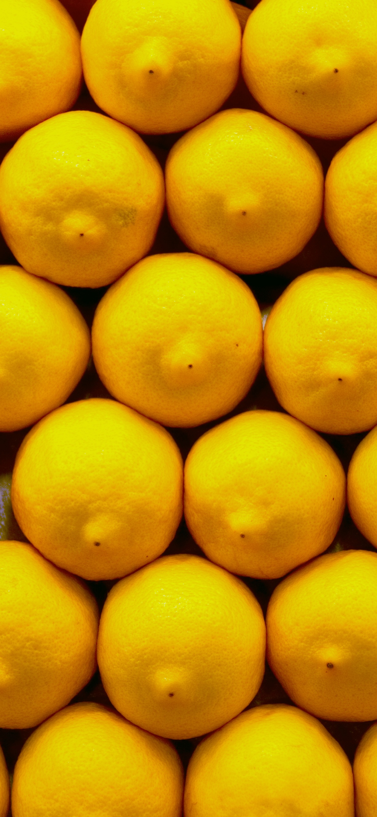 Обои лимон, фрукты, желтый, цитрус, природные продукты в разрешении 1242x2688