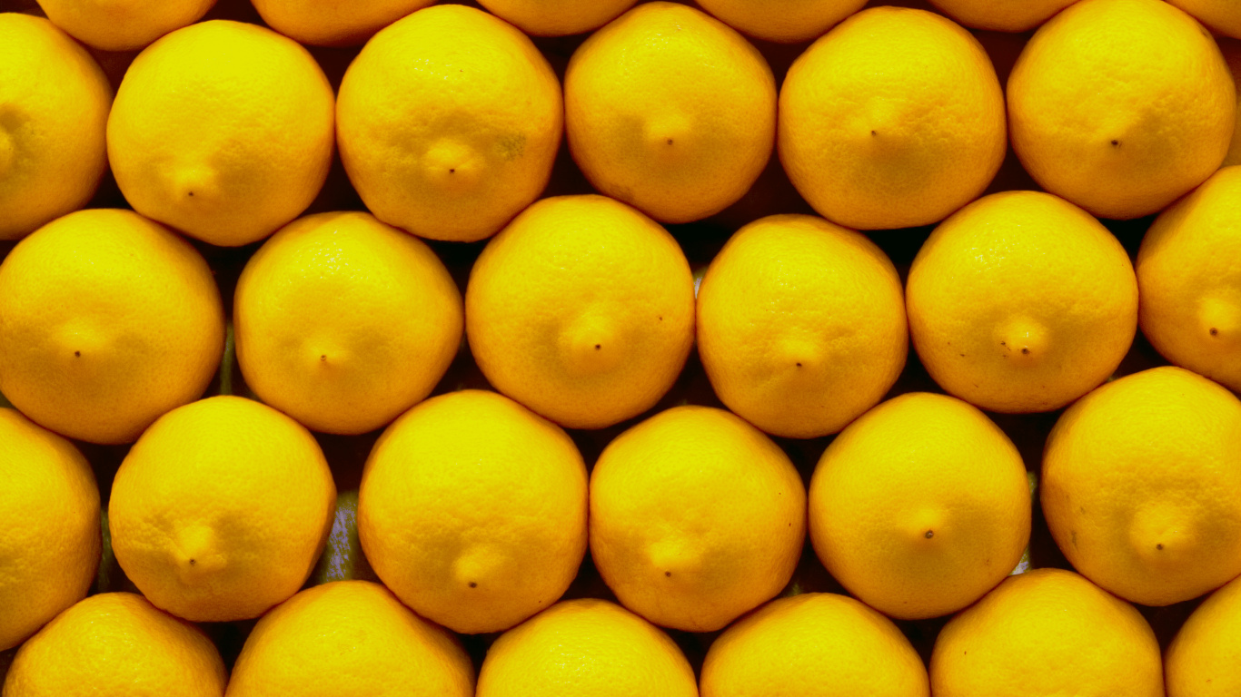 Обои лимон, фрукты, желтый, цитрус, природные продукты в разрешении 1366x768