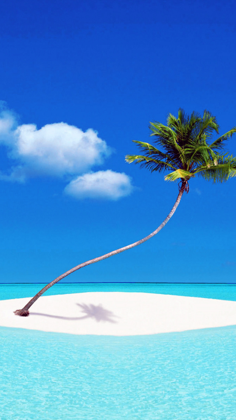 Обои тропическая зона, лазурный, дневное время, Карибский бассейн, океан в разрешении 750x1334