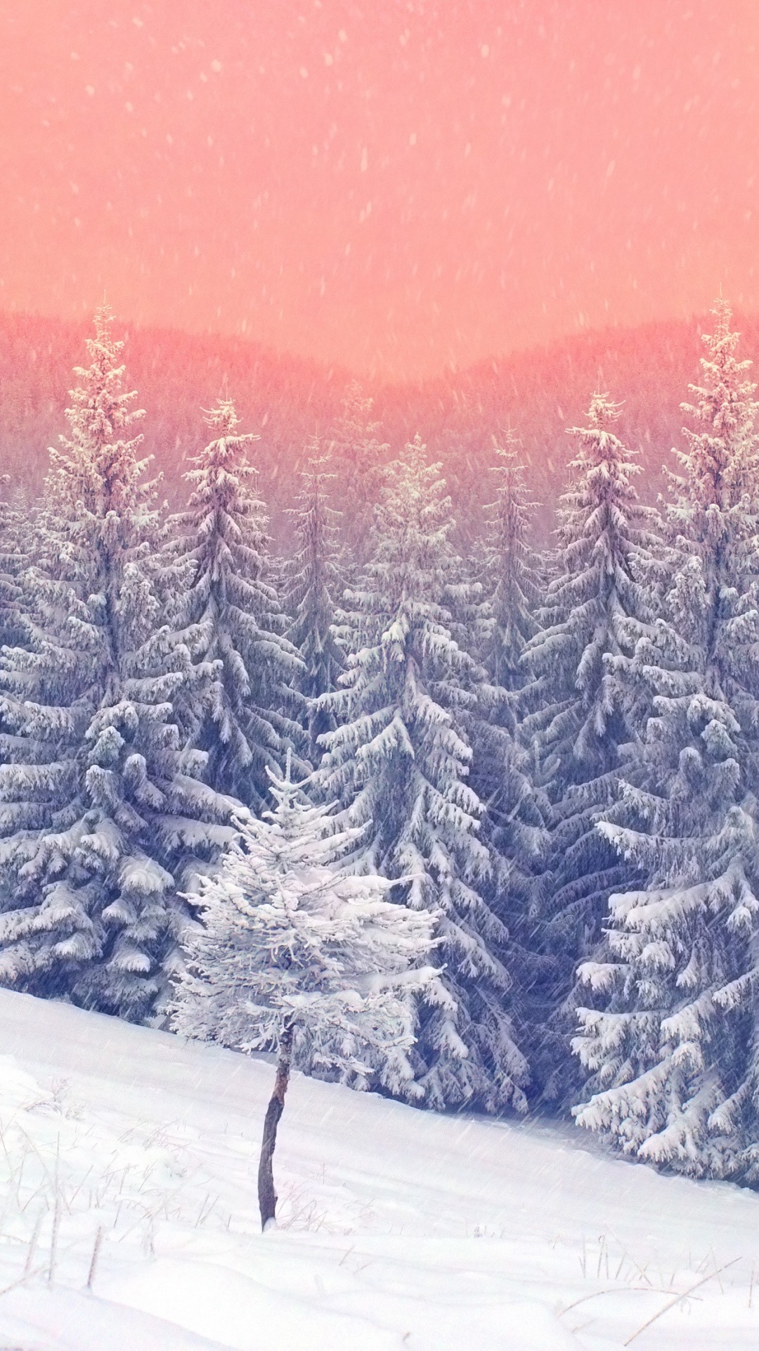 Обои снег, зима, дерево, природа, замораживание в разрешении 1080x1920