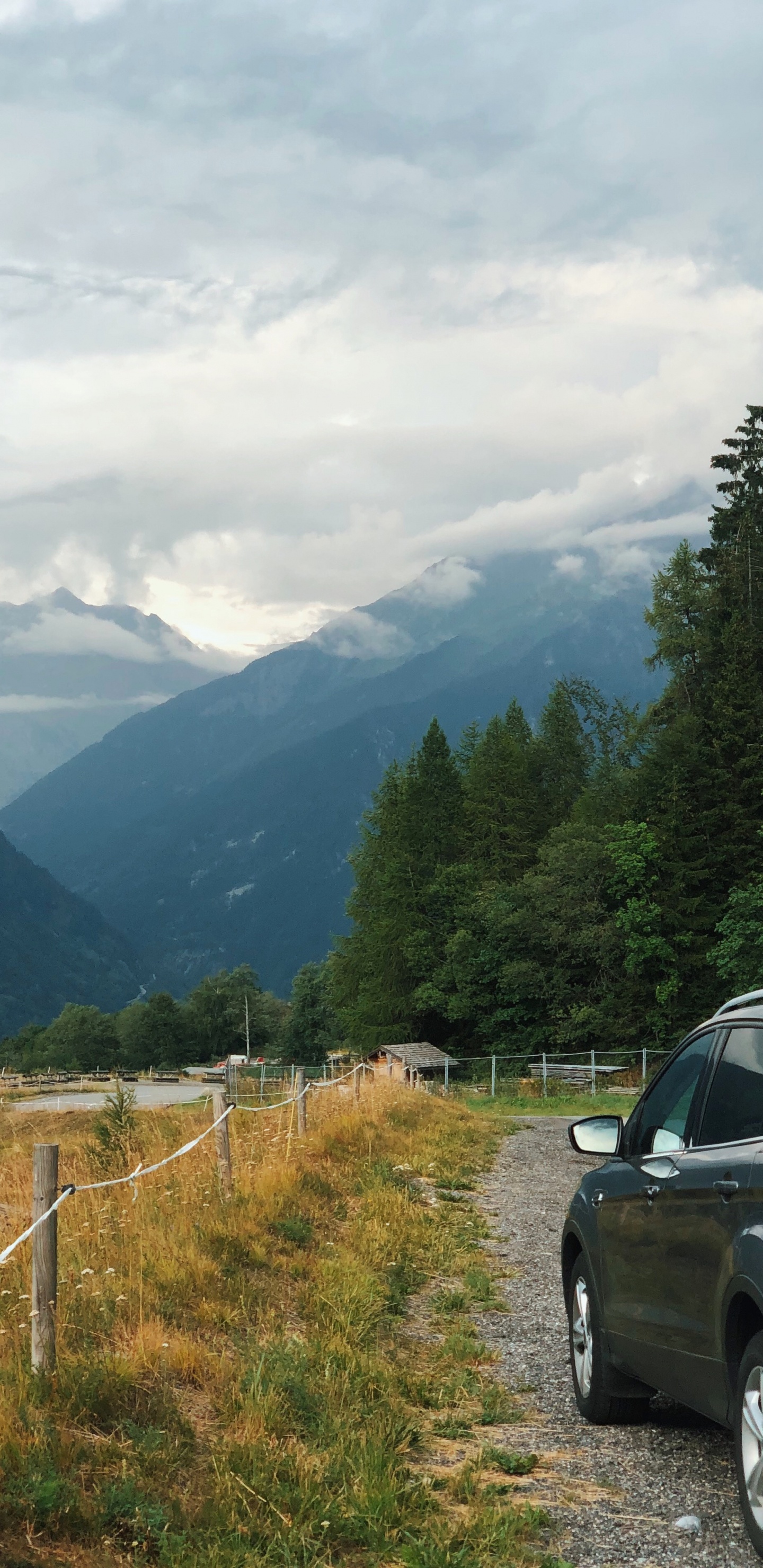 Обои нагорье, Король, шина, колесо, горный рельеф в разрешении 1440x2960