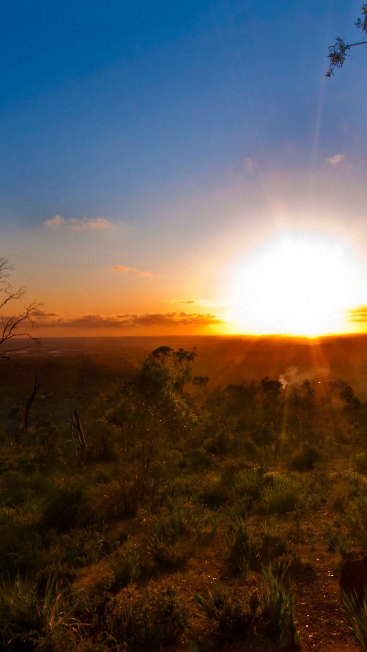 Обои австралия, пейзаж, восход солнца, солнце, утро в разрешении 750x1334