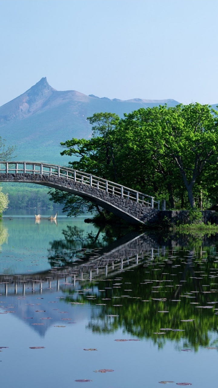 Обои мост, достопримечательность, природа, отражение, вода в разрешении 720x1280