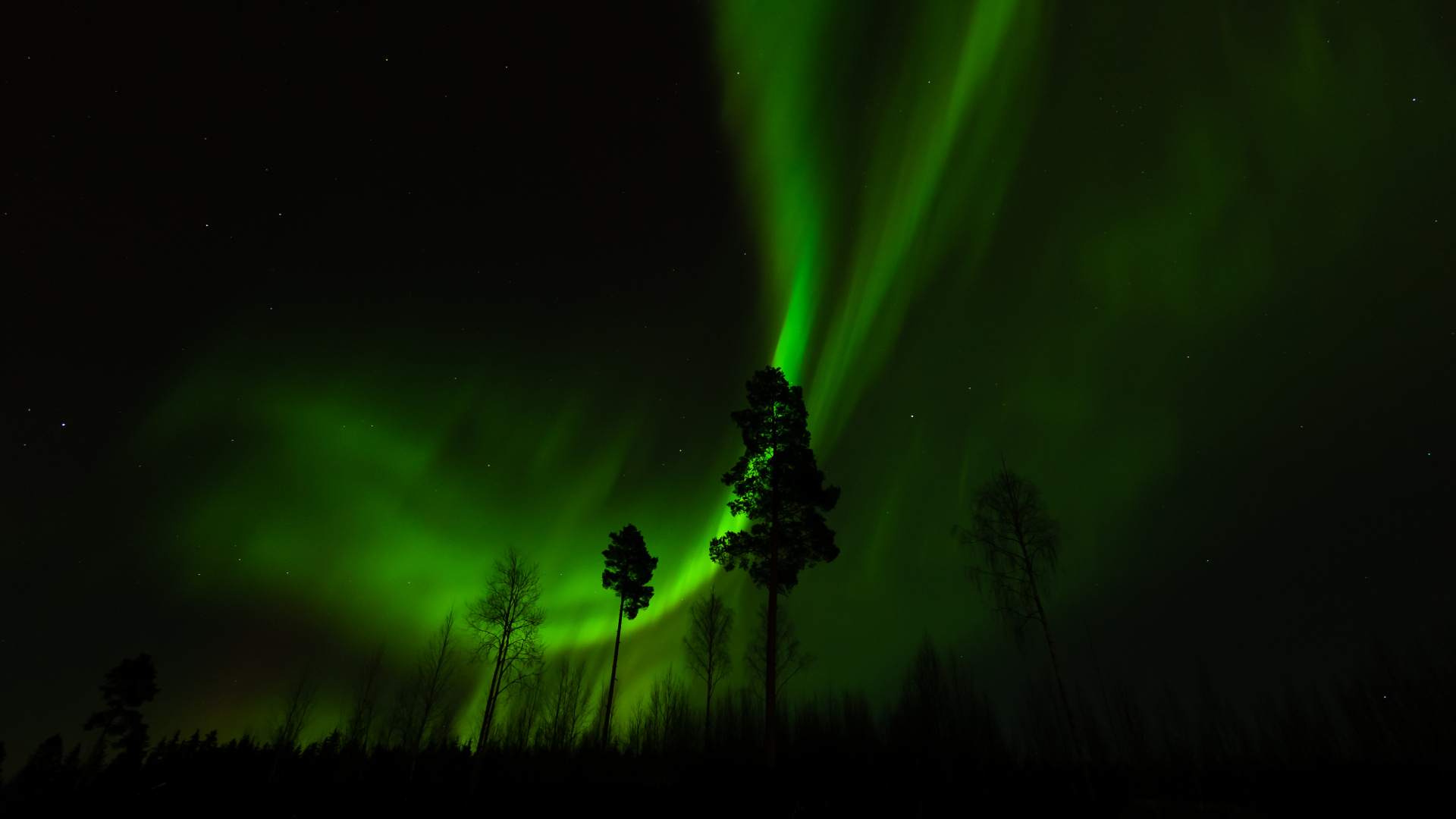 Обои Аврора, природа, свет, ночь, дерево в разрешении 1920x1080