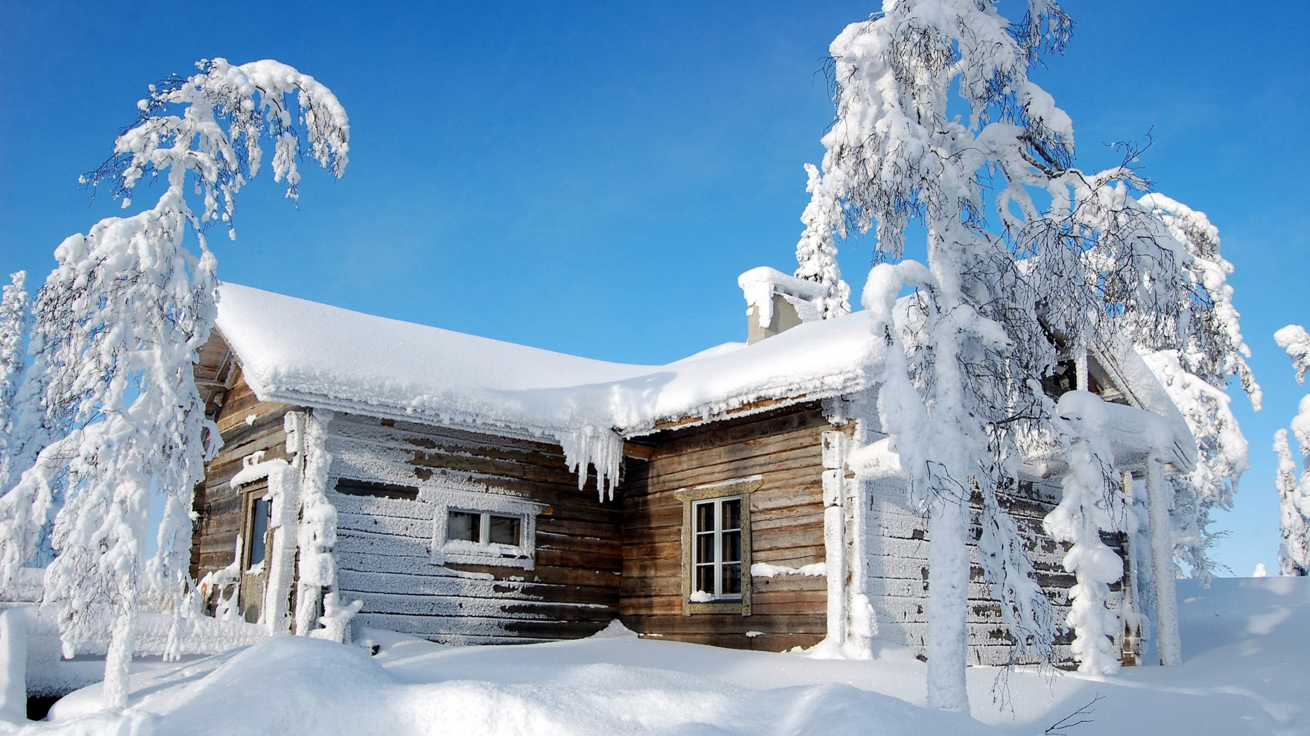 Обои Болгария, Игры Bilibili, зима, снег, замораживание в разрешении 2560x1440