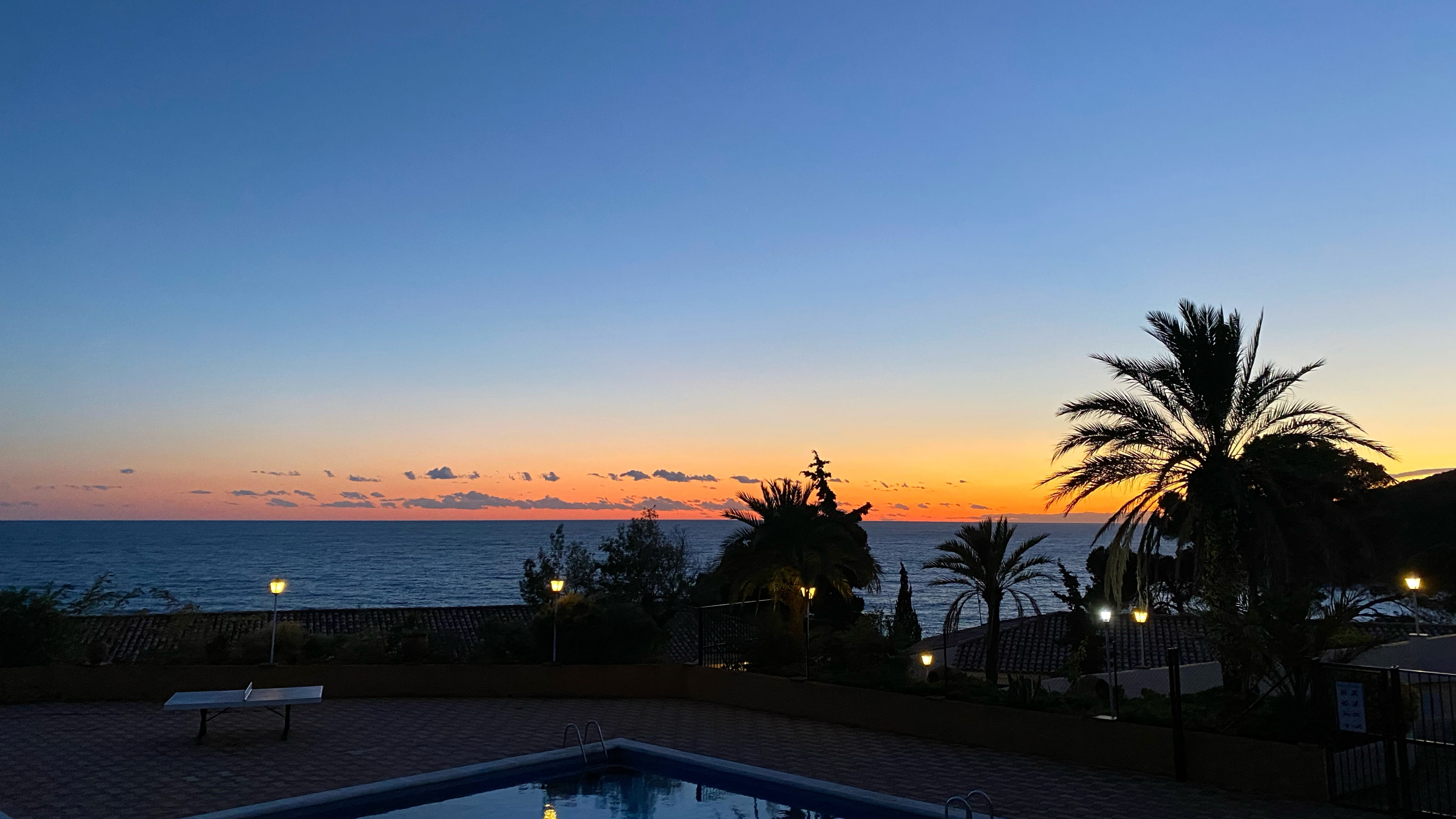 Обои пальмовые рощи, вода, недвижимость, сумрак, закат в разрешении 3840x2160