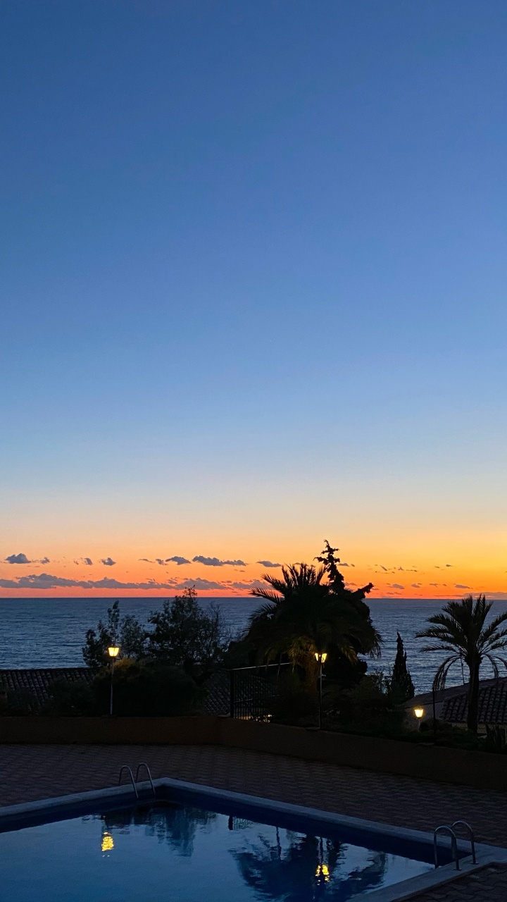 Обои пальмовые рощи, вода, недвижимость, сумрак, закат в разрешении 720x1280