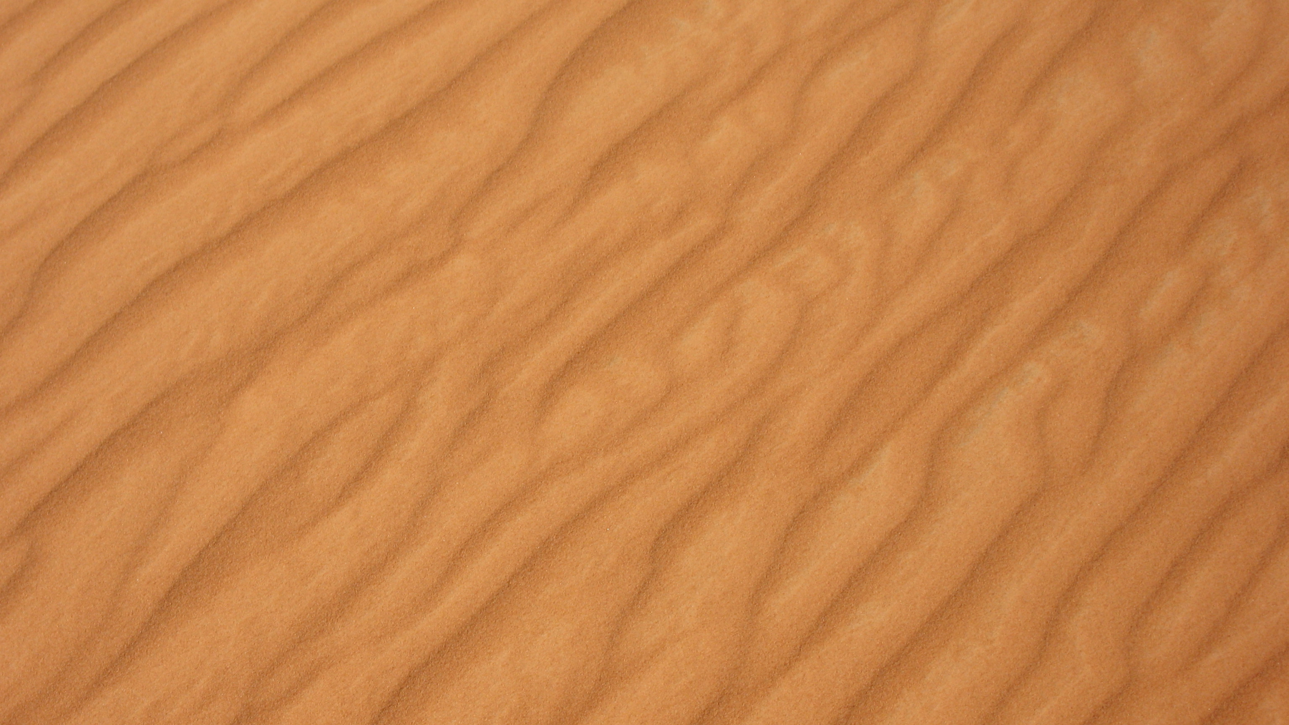 Обои песок, морилка, фанера, лак, древесина в разрешении 2560x1440