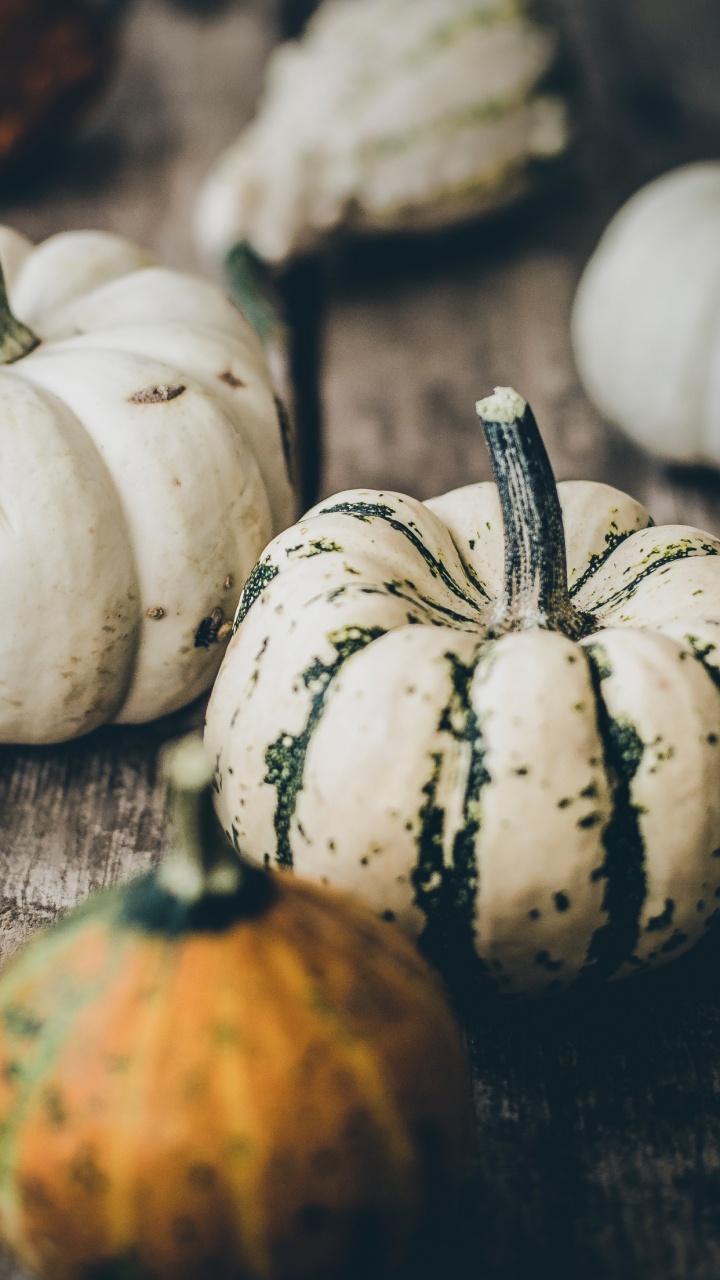 Обои тыква, осень, пища, зимний сквош, природные продукты в разрешении 720x1280