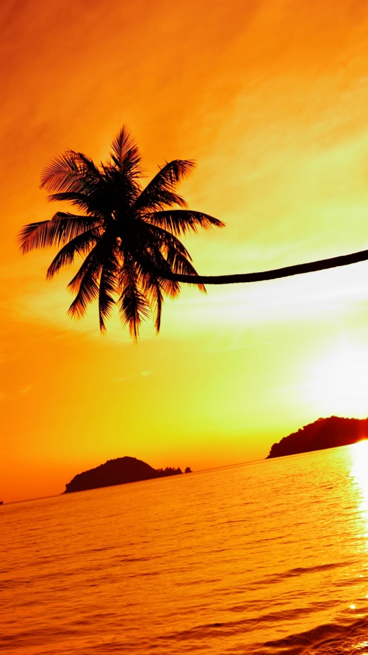 Обои пляж, прибежище, закат, море, морской курорт в разрешении 720x1280