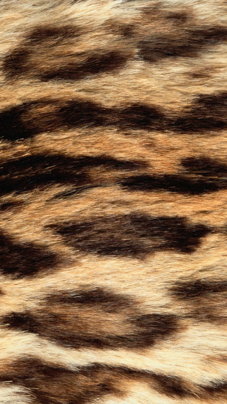 Обои шаблоны животных в природе, Гепард, Леопард, узор, мех в разрешении 750x1334