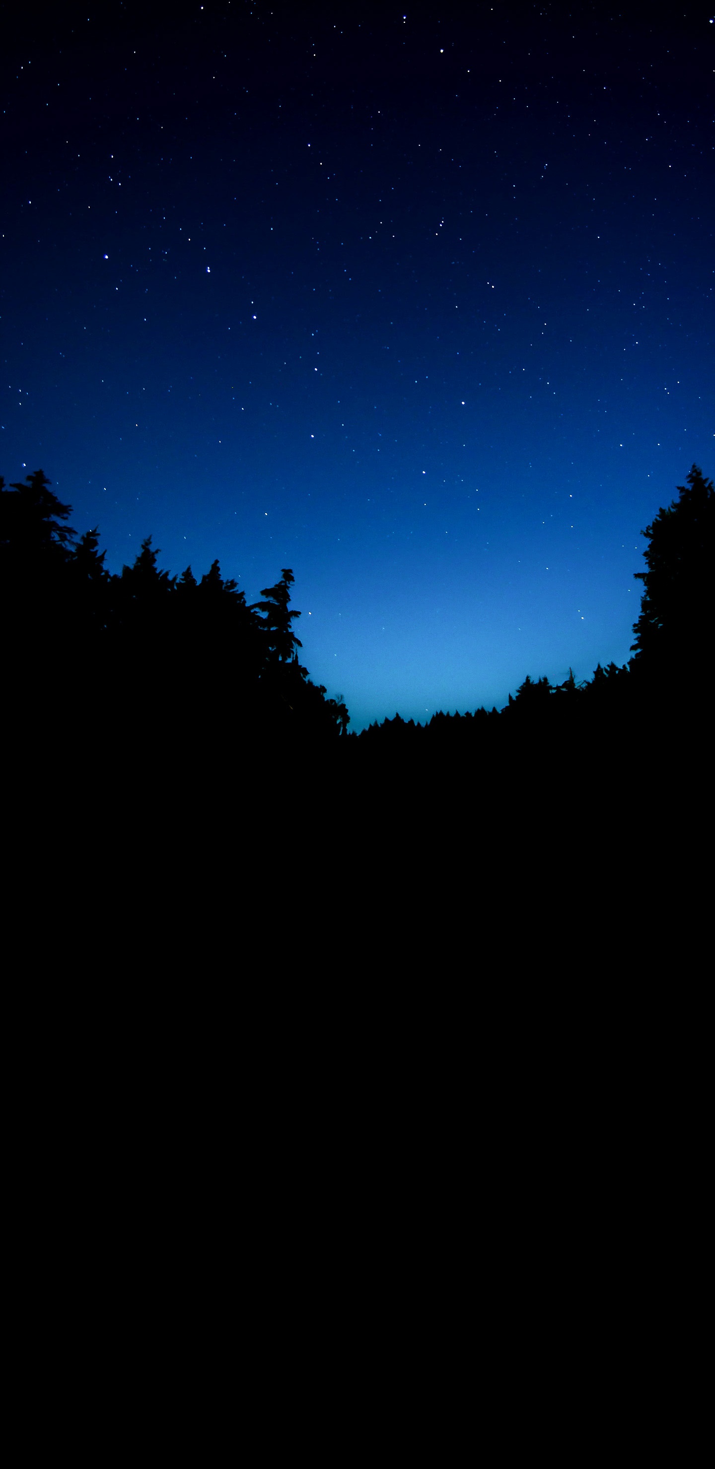 Обои природа, атмосфера, облако, природный ландшафт, ветвь в разрешении 1440x2960