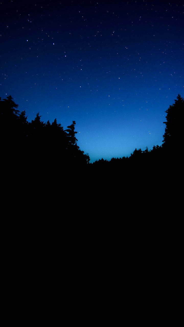 Обои природа, атмосфера, облако, природный ландшафт, ветвь в разрешении 720x1280