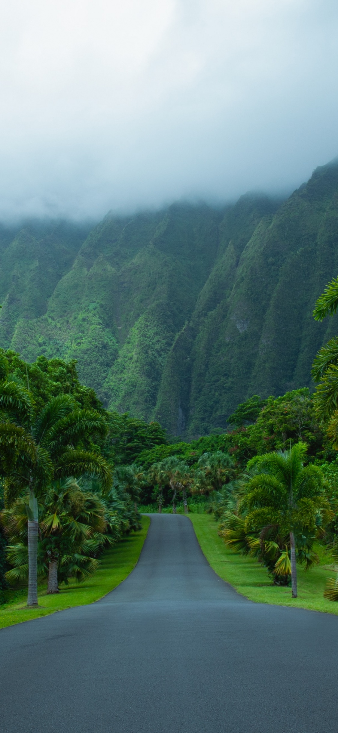 Обои природа, горная станция, растительность, нагорье, природный ландшафт в разрешении 1125x2436