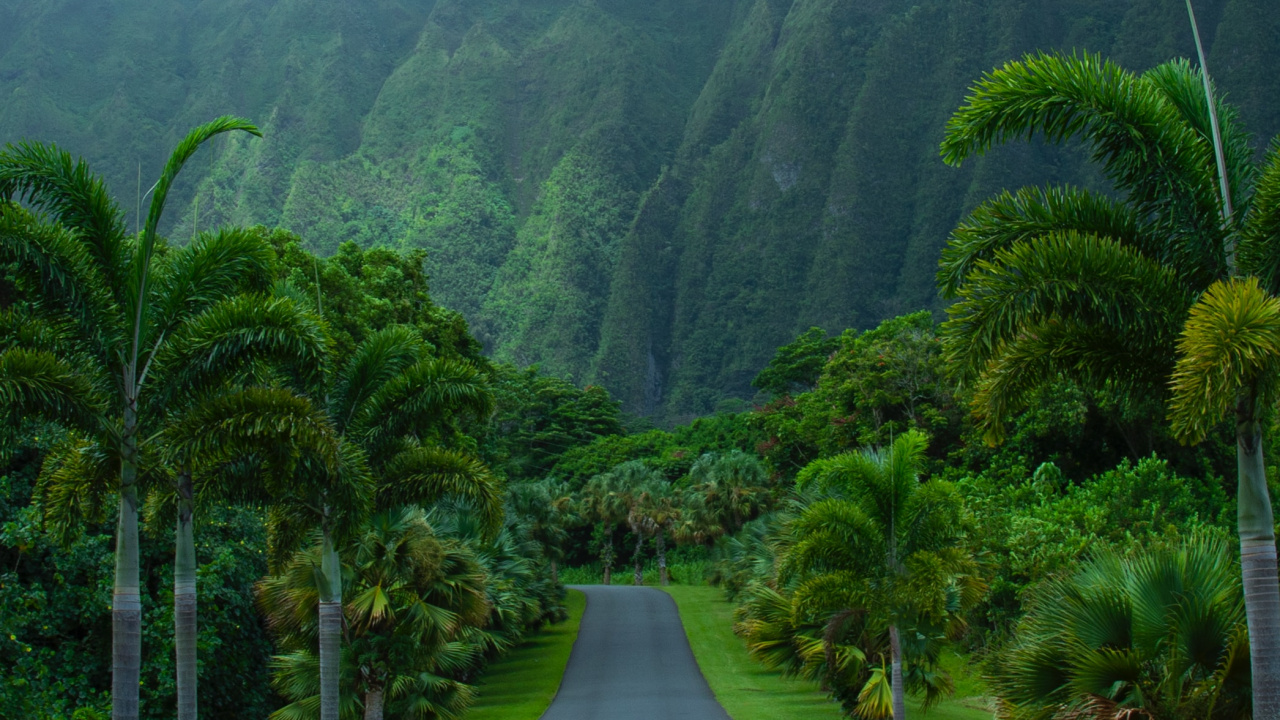 Обои природа, горная станция, растительность, нагорье, природный ландшафт в разрешении 1280x720