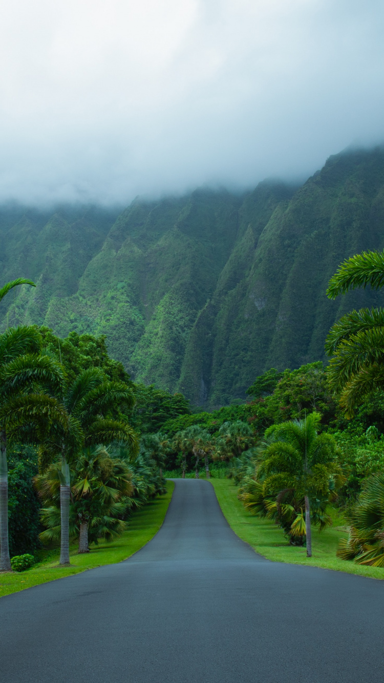 Обои природа, горная станция, растительность, нагорье, природный ландшафт в разрешении 750x1334