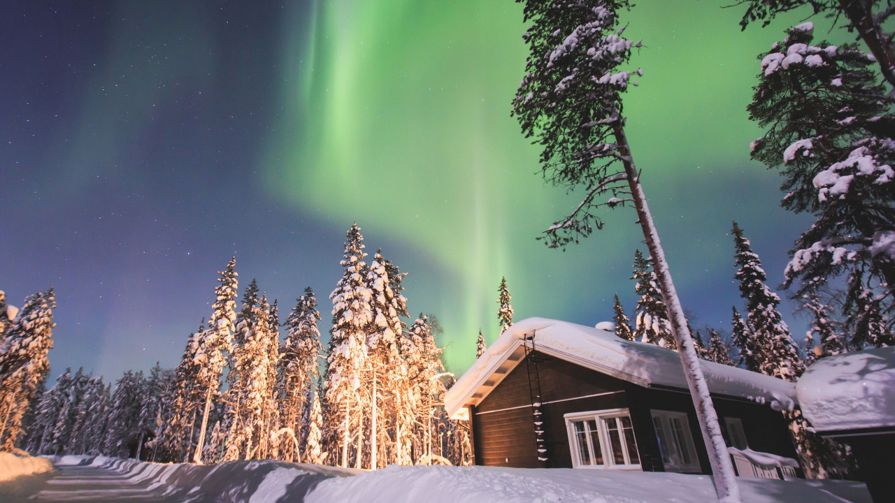 Обои путешествие, Аврора, природа, зима, дерево в разрешении 1280x720