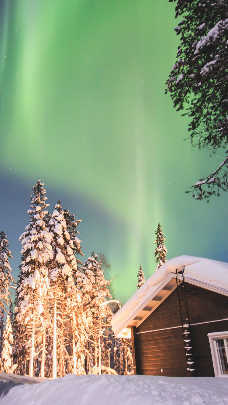 Обои путешествие, Аврора, природа, зима, дерево в разрешении 750x1334