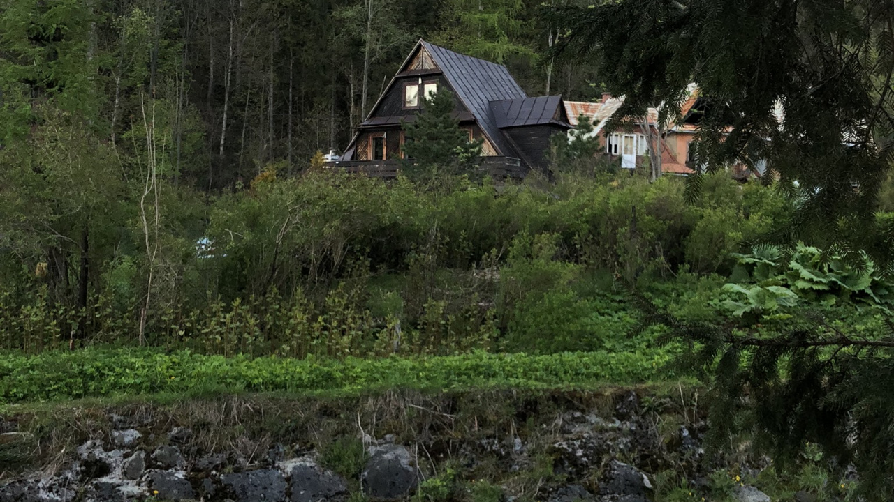 Обои растительность, биом, растение, земельный участок, Хаус в разрешении 1280x720