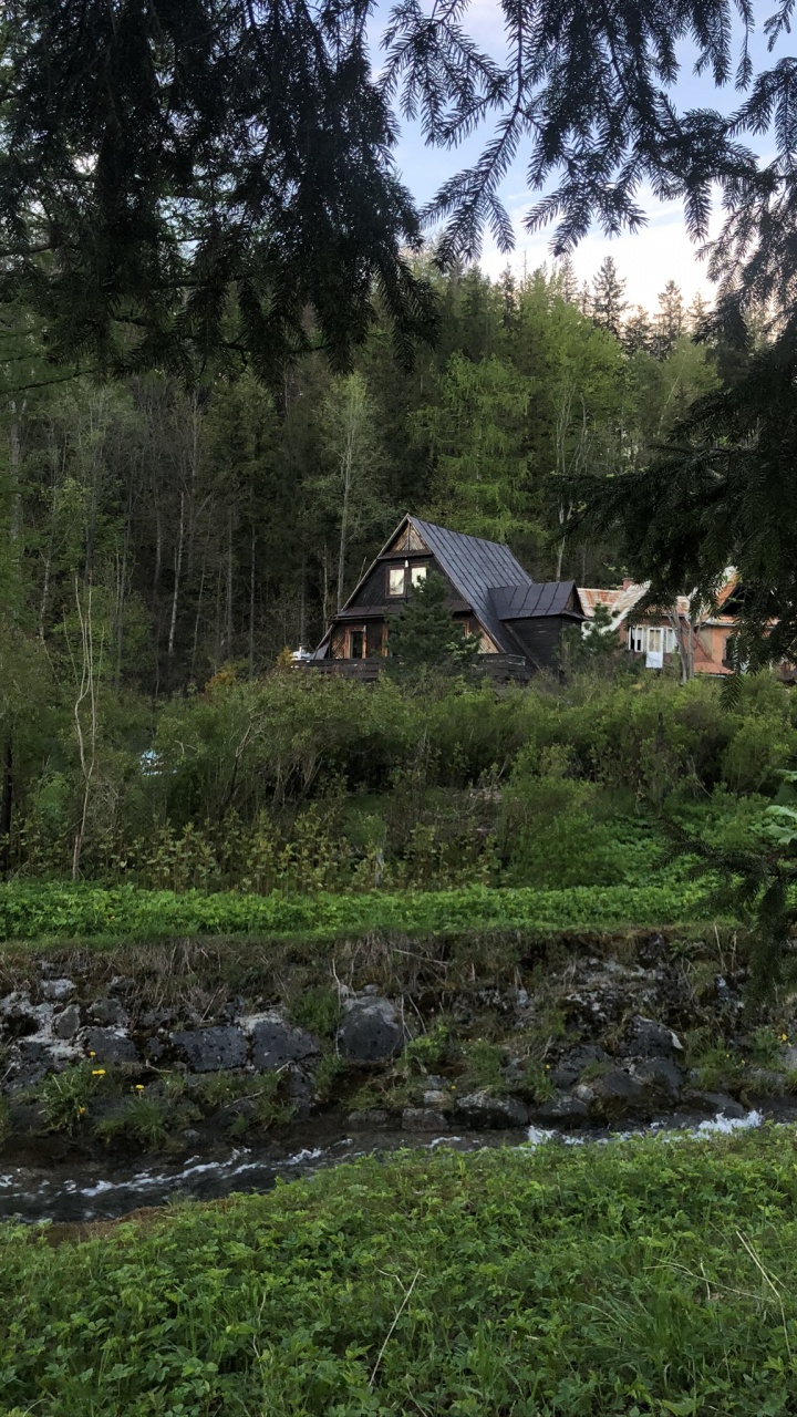 Обои растительность, биом, растение, земельный участок, Хаус в разрешении 720x1280