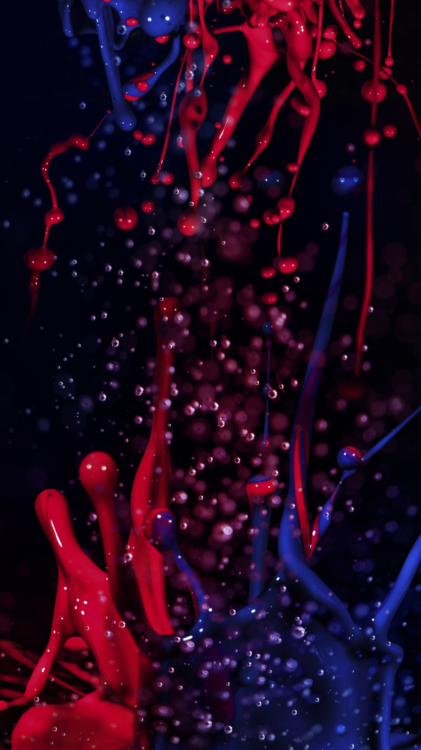 Обои темнота, жидкий, пурпур, вода, ветвь в разрешении 1440x2560