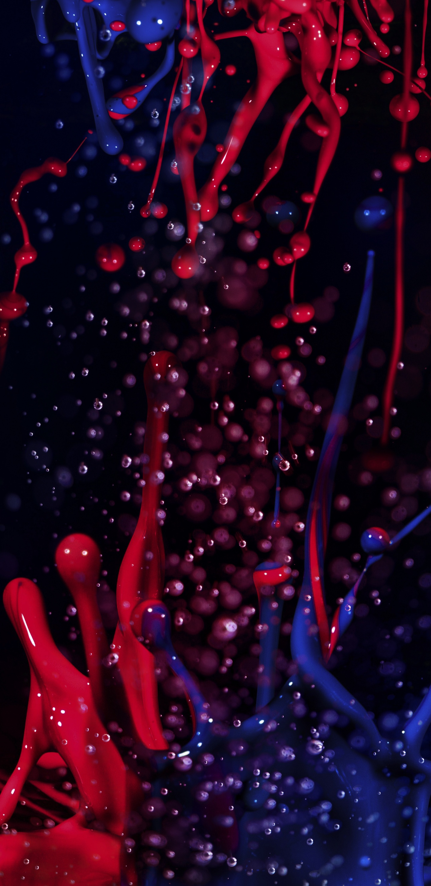 Обои темнота, жидкий, пурпур, вода, ветвь в разрешении 1440x2960