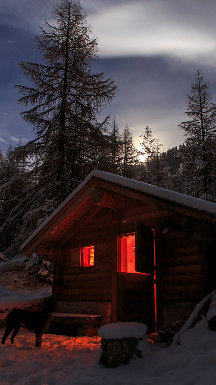 Обои зима, снег, природа, дерево, бревенчатый домик в разрешении 720x1280